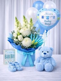 Baby Boy Gift Set