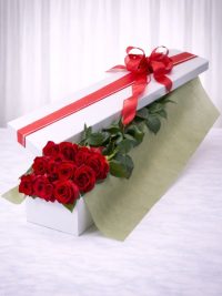 Roses in Box